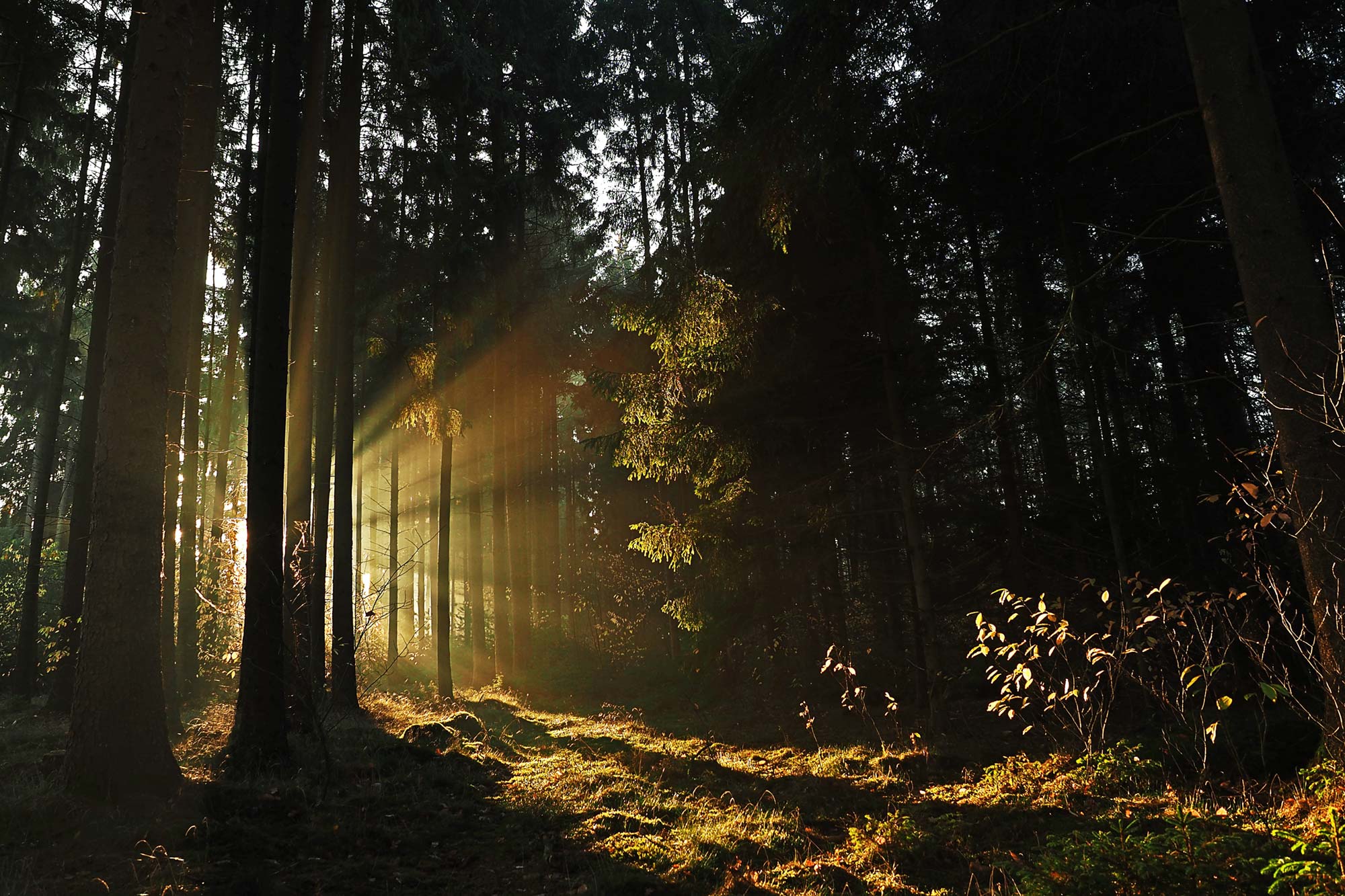 Come to Me: Finding Rest in the Midst of Disciple-Making