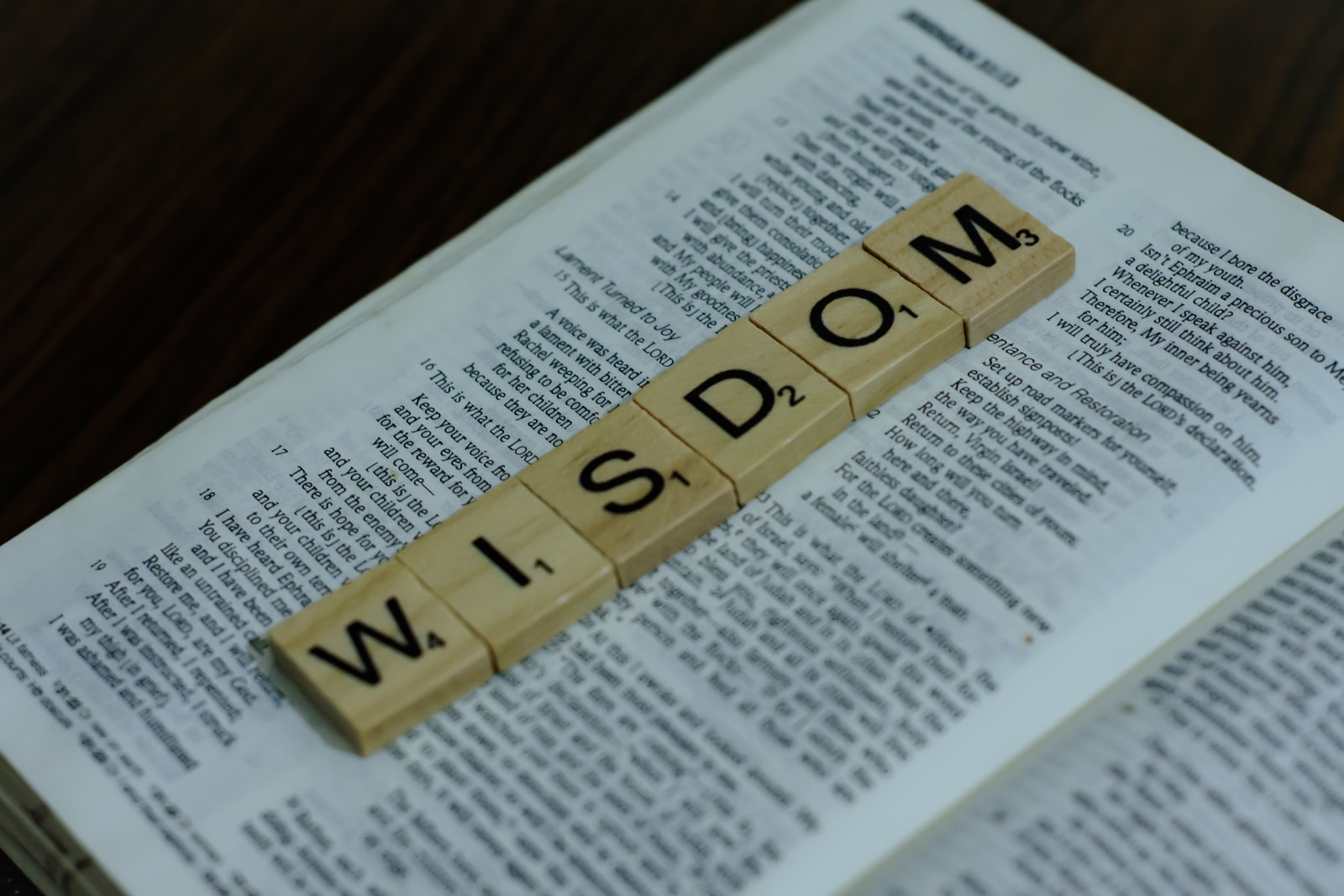 Reflections on Wisdom Part 1