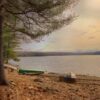 green and brown wooden bench near body of water during daytime
