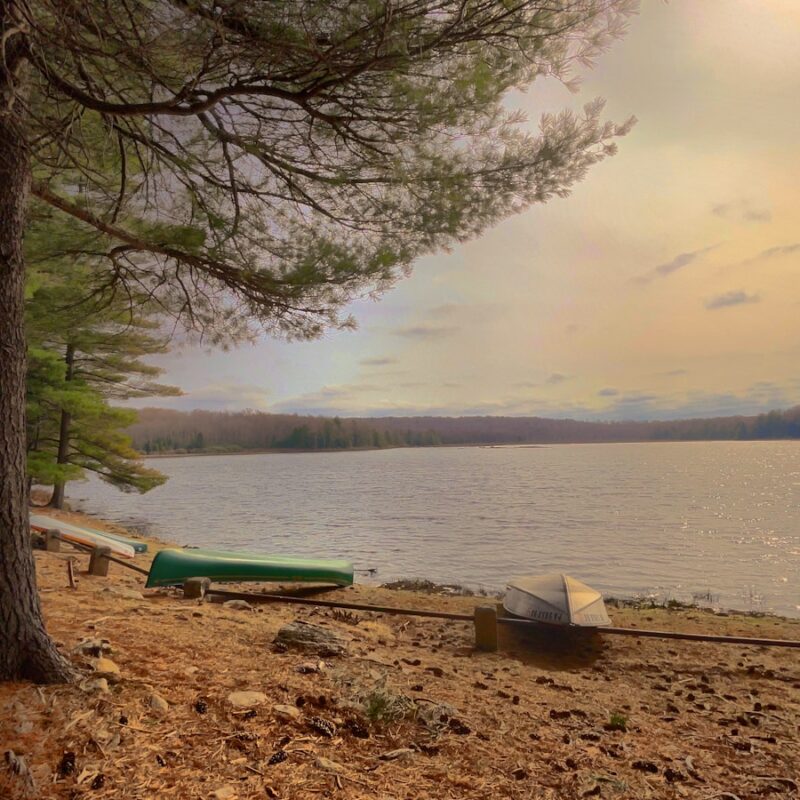 green and brown wooden bench near body of water during daytime