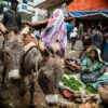woman in green dressed sitting beside green vegetable and two gray donkey's